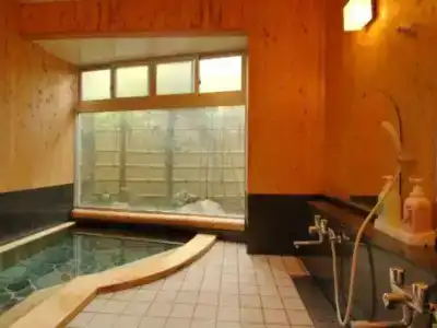 Yoshiike Ryokan - 8
