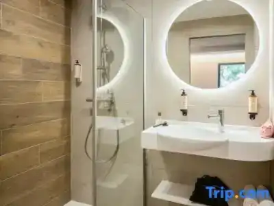 Best Western Plus hôTel De l'Arbois - 103