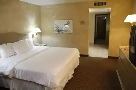 Ramada by Wyndham Viscount Suites Tucson East - 43