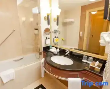 InterContinental Almaty - 60