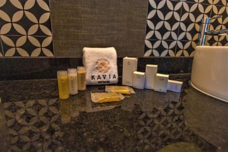 Plaza by Kavia - 45