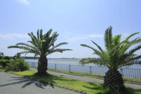 Matsuichi - 19