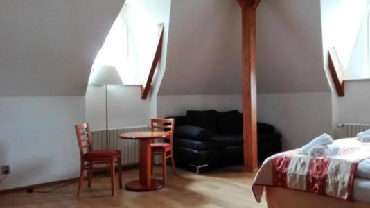 Jana / Pension Domov Mládeže - 52