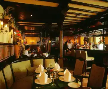 Maritim Mannheim - 18