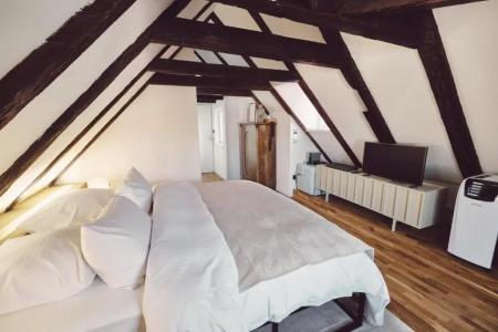 Domus Balthasar Design - 117