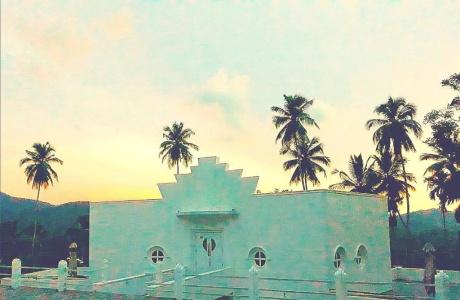 The Flame Tree Estate & - 200