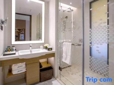 Hampton by Hilton Big Goose Pagoda - 12