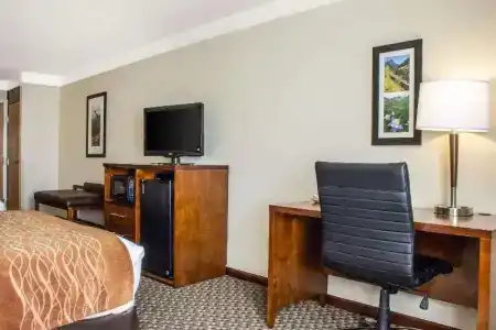 Comfort Inn & Suites - 53