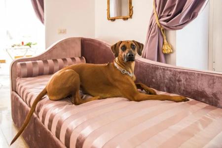 Trastevere Royal Suite - 67