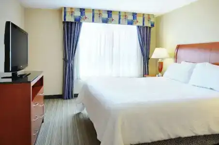 Hilton Garden Inn Toronto/Burlington - 52