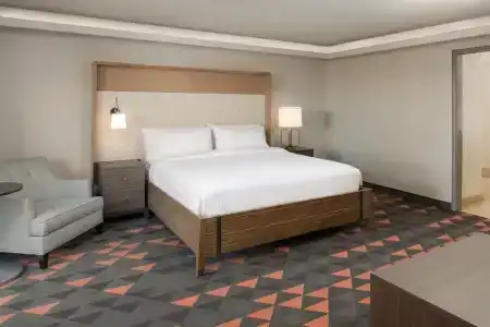 Holiday Inn - Portland - Columbia Riverfront, an IHG - 93