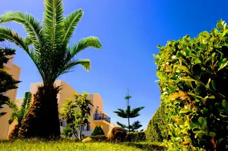 Yiannis Manos Resort - 26