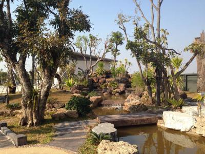 Green Garden - 8