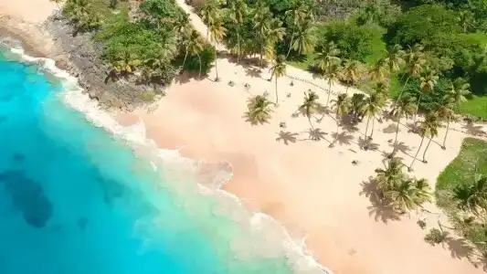 Paradiso del Caribe - 155