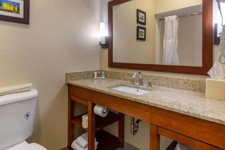 Comfort Suites Walnut Creek - 57