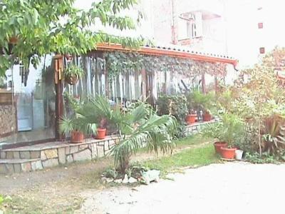 Guest House Desi - 8