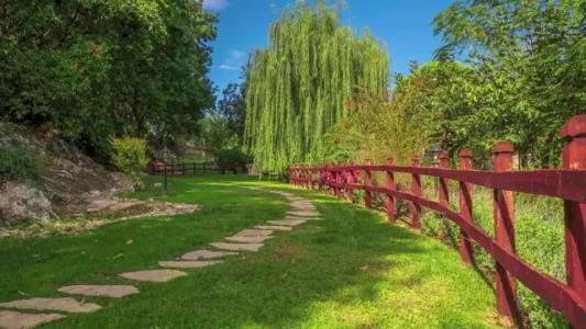 Grand Il Ninfeo - 31