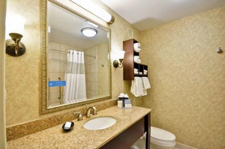 Hampton Inn Charleston-Historic District - 9