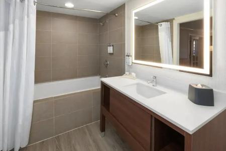Holiday Inn West – Sunland Park, An Ihg - 54