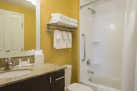 TownePlace Suites by Marriott South/Hamburg Place - 5