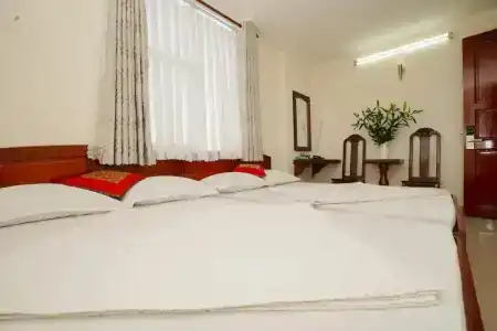 Nguyen Ha - 17