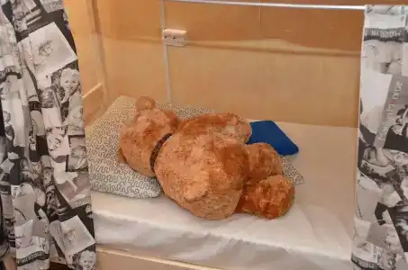Тедди Хостел - 16