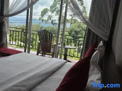 The Ella Nature Life Guest Inn - 44
