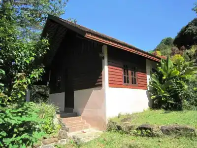 Phanom Bencha Mountain Resort - 33