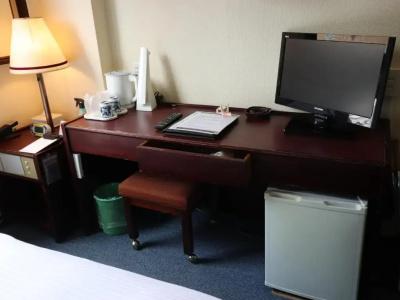 Tokyo Inn - 108