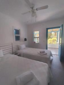 Misket Bodrum - 14