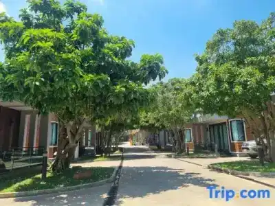 Nutchana Hill Boutique - 78