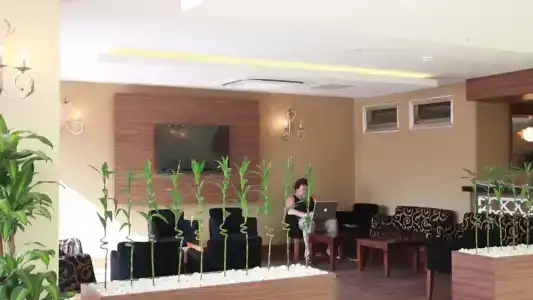 Merve Sun & Spa - 28