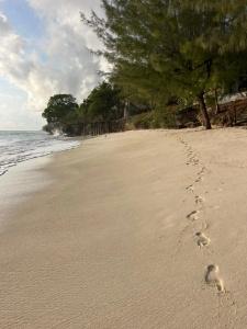 Sazani Beach and Tidal Lounge - 47