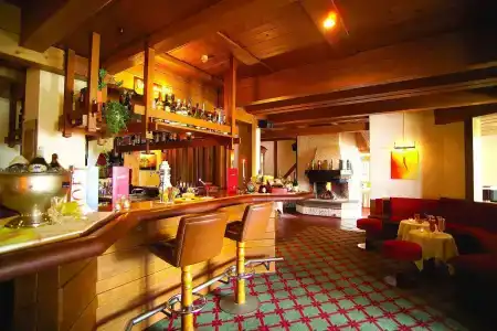 Maritim Titisee - 34