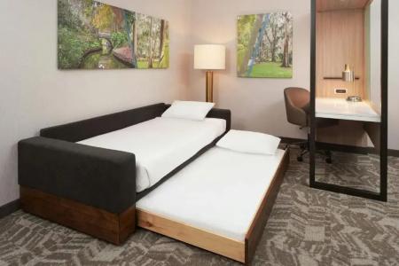 SpringHill Suites by Marriott Winter Park - 14