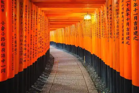 Slowtime Kyoto - 11