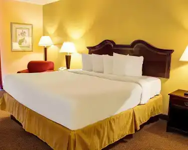 Quality Inn North - 20