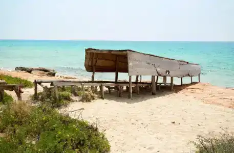 Insotel Formentera Playa - 14