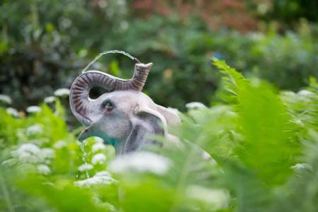 Elephant - 16