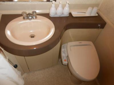 Select Inn Fujisan Gotemba - 31