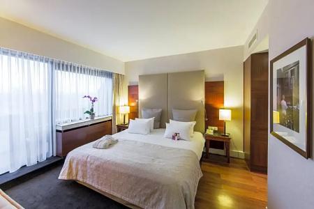 Crowne Plaza Maastricht, An Ihg - 154
