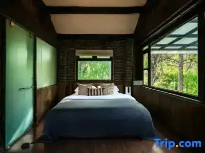 Adonis Inn - 28