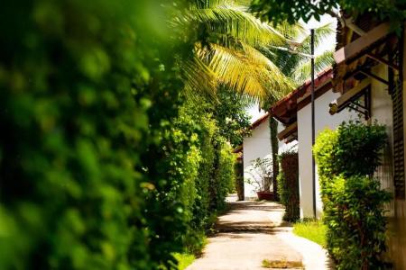Maison du Vietnam Resort & Spa - 92