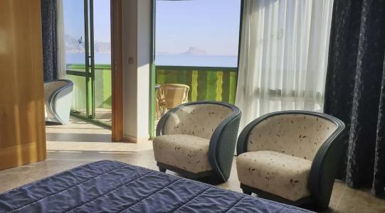Kaktus Albir - 105