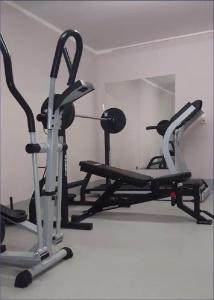 Elbrivera Alt Prester - 16