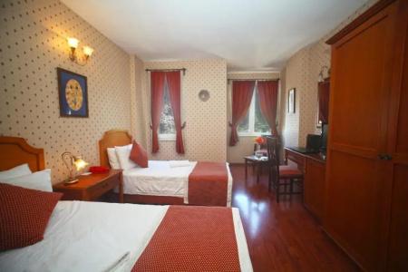 Erguvan - Special Category - 60