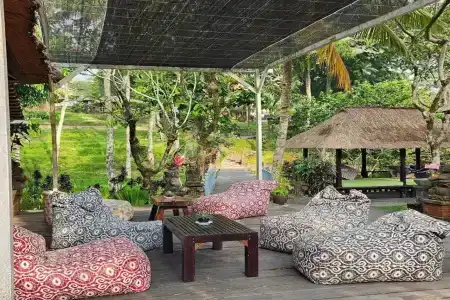 Ubud Sari Health Resort - 6