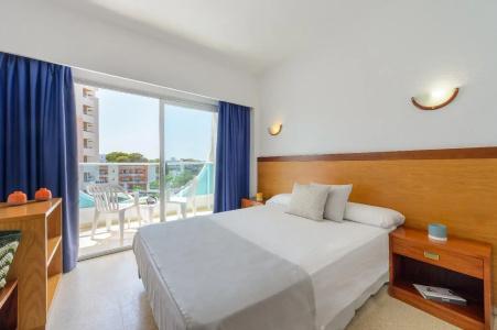 Vibra Palma Cactus - 10