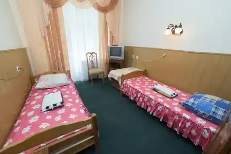 Шинник - 1