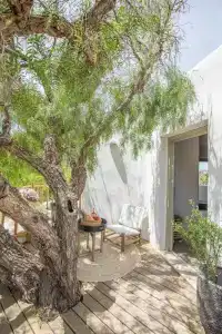 Ikies of Mykonos - 287